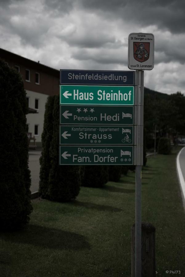 Haus Steinhof Villa Sankt Lorenzen ob Murau Exterior photo