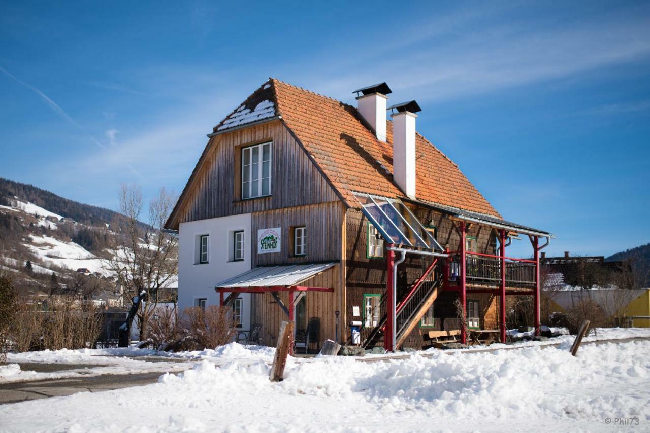 Haus Steinhof Villa Sankt Lorenzen ob Murau Exterior photo